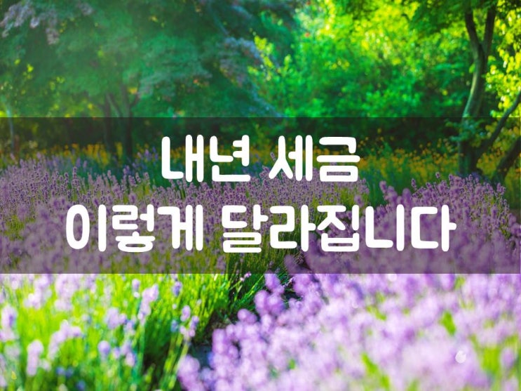  내년 세금, 이렇게 달라집니다