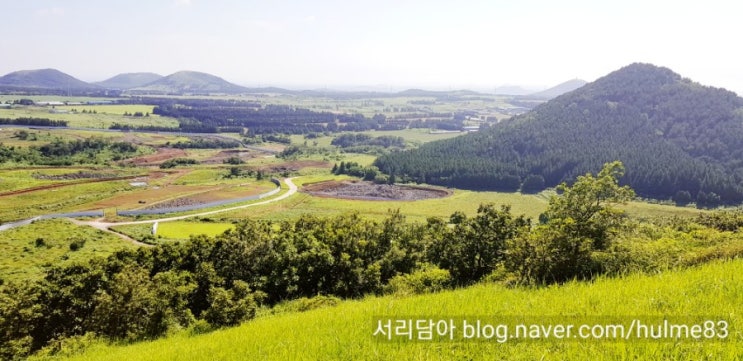  제주도 오름 추천! 아이랑 오르기 좋은 새별오름