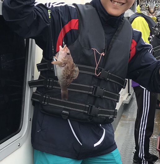  군산 새만금 배낚시(체험낚시)