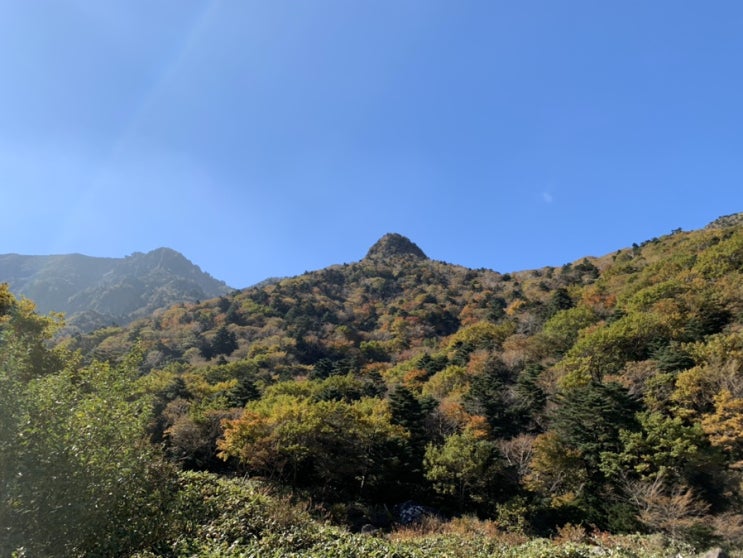 엄마랑 제주도 가을 한라산 백록담 완등하기1 (관음사&gt;성판악코스)