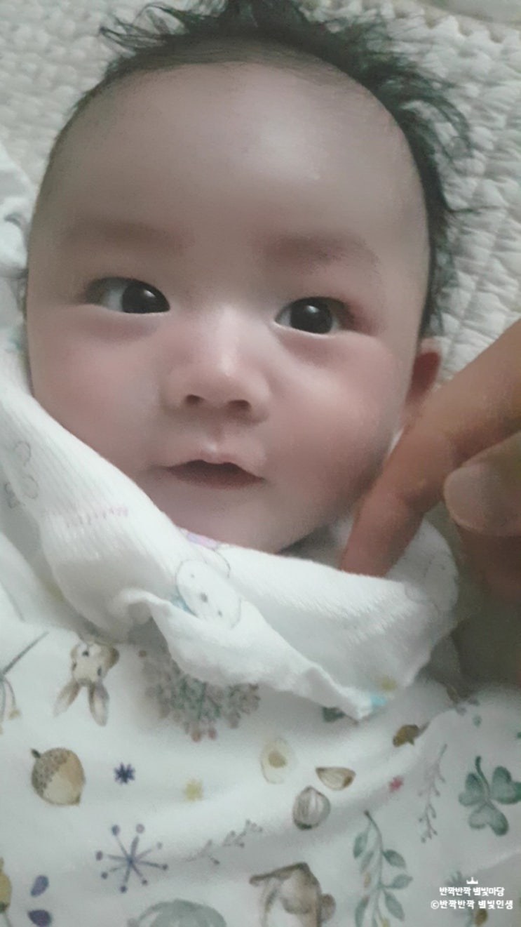  정우 91일~ 100일 / 외사촌 만남/돗투돗 유모차 라이너와 가리개/ 젖꼭지 교체 시기/신생아 통잠/ 아기체육관 단골손님/ 튤립 사운드북 사용시기/ 신생아 거울놀이/아기 백일사진