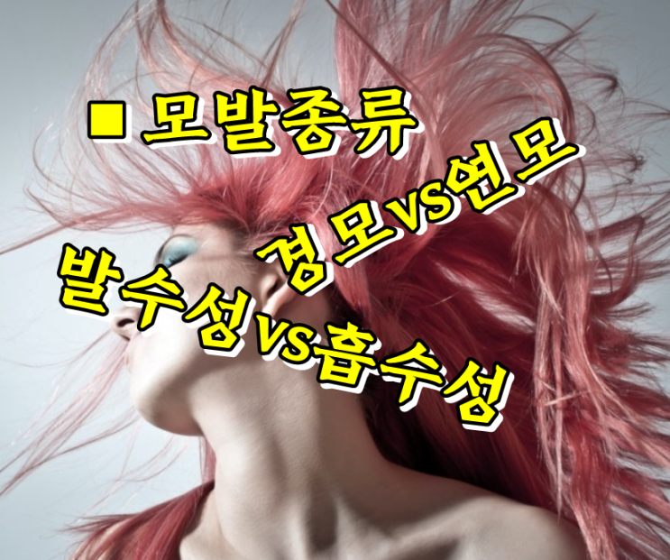  모발 종류와 특징, 발수성모발 연화 테스트