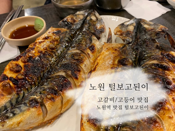  노원역 털보고된이 생선구이 고등어구이 고갈비 맛집으로 여기가 일등이에요