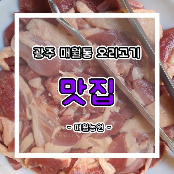 광주 매월동 맛집!! 오리숯불구이 전문점 매월농원