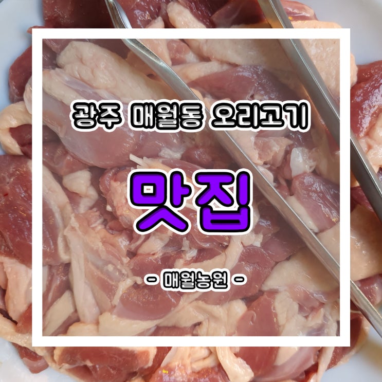  광주 매월동 맛집!! 오리숯불구이 전문점 매월농원