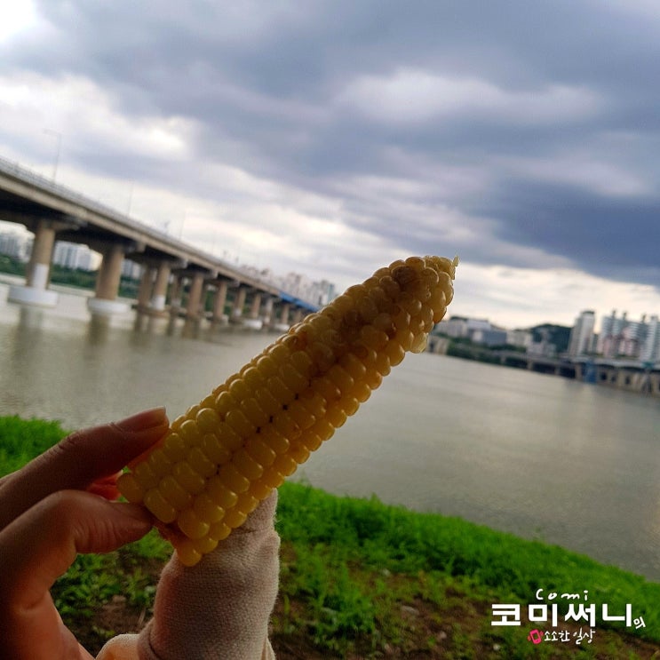 무료한 일요일 오후 광나루 한강공원 한강 나들이! 무료한 일요일 오후 광나루 한강공원 한강 나들이!