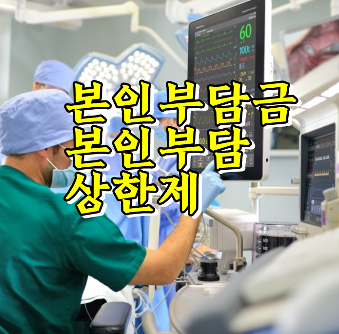  2020년 본임부담상한제 이건 꼭 알아야해