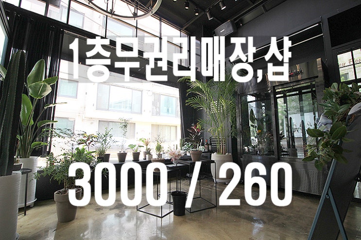  강남논현동무권리1층임대_학동역을지병원사거리소형매장임대_네일샵_테일러샵_맞춤정장_여성의류_쇼룸_인터넷쇼핑몰_오프라인매장_코스메틱_화장품_공방_핸드백_채광스튜디오_지상스튜디오_사진관