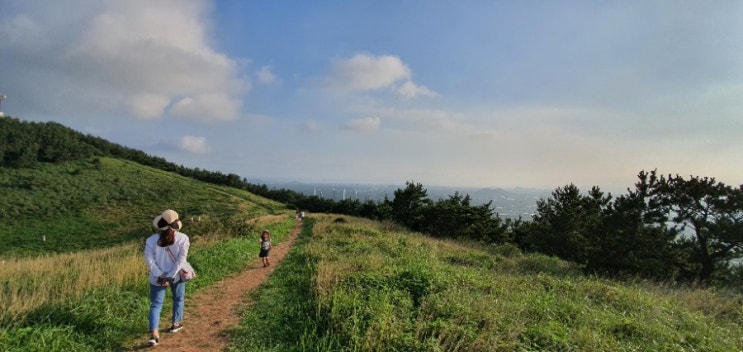  제주도에서 꼭 가야할 오름 금오름