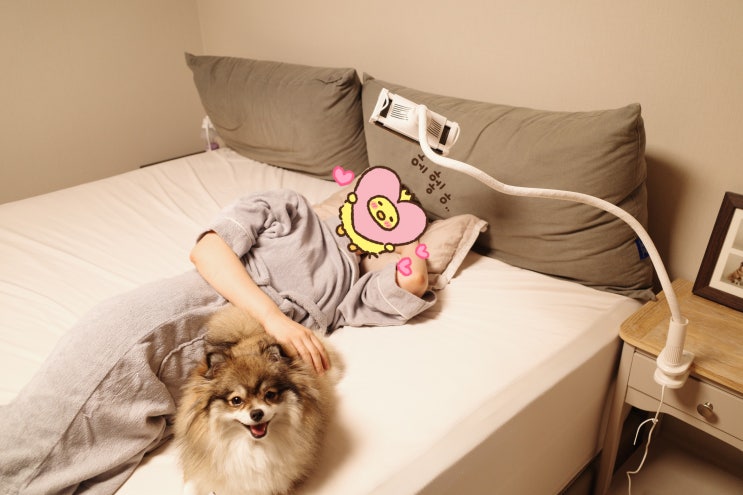 무선충전 가능한 피넛 스마트폰 거치대 :: 침대족 필수템