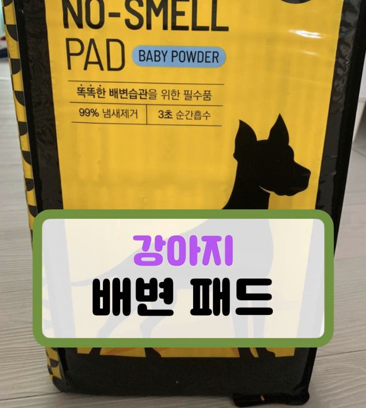  강아지 배변패드 - 노스멜 패드 사용후기