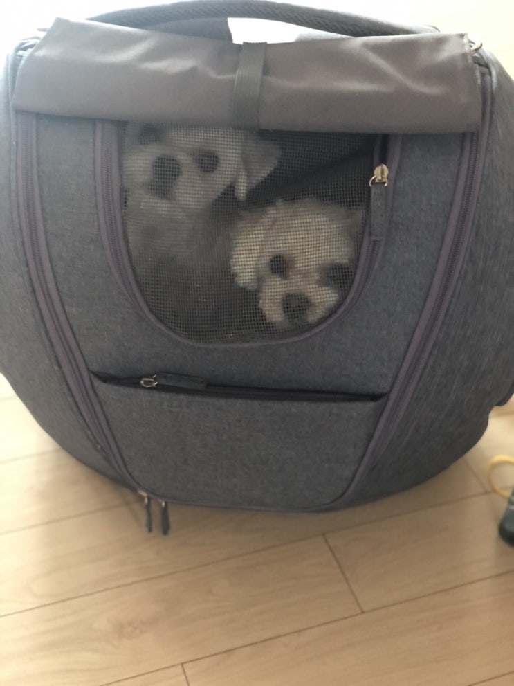  오늘은 함께 출근!