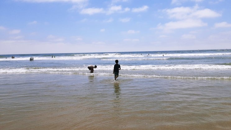  San Diego 주변여행 5 | Oceanside Harbor Beach 항구옆 해변