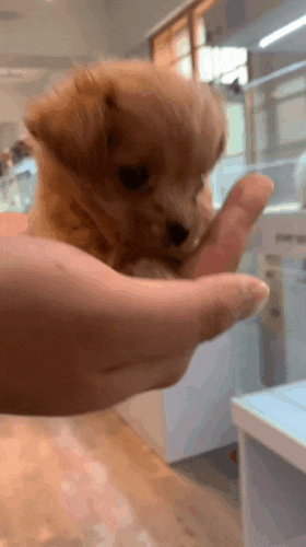  7월 20일부터 7월 26일까지