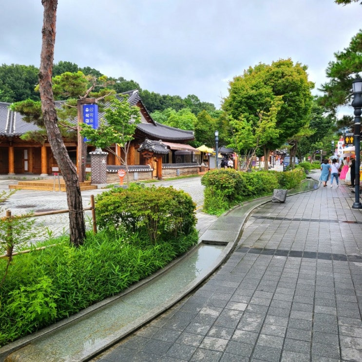  전주 로컬맛집 추천! 전주 당일치기로 드라이브 다녀왔어요