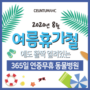  2020년 여름 휴가철에도 센텀동물메디컬센터는 활짝! (부산 365일 연중무휴 동물병원)