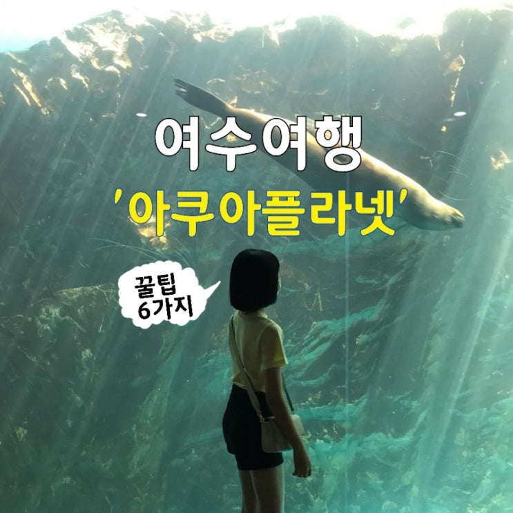  여수 '아쿠아플라넷' 이정도일줄~