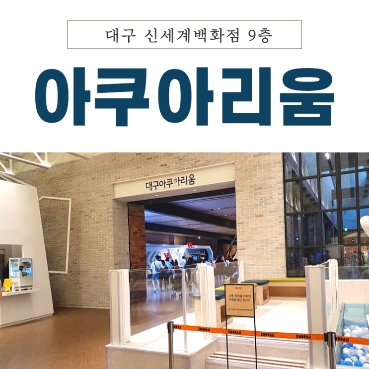  대구 아이와 가볼만한 곳 신세계 아쿠아리움