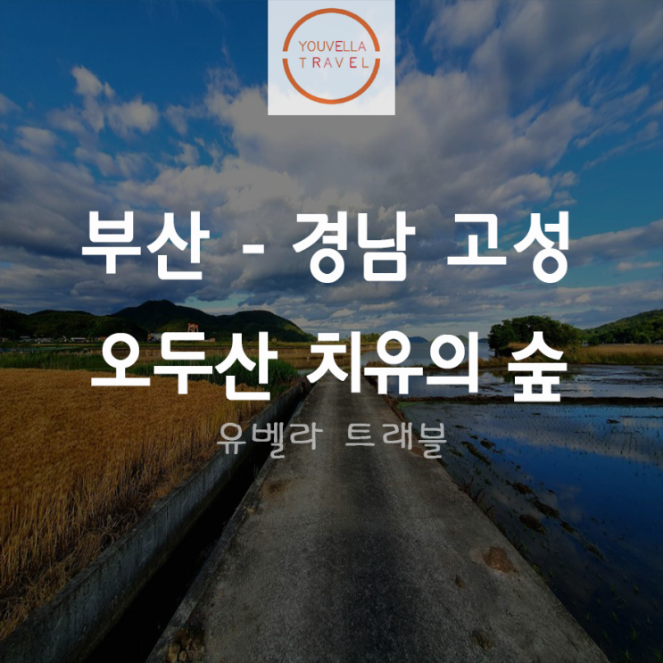  [부산출발] 경남 고성 오두산 치유의 숲 당일 투어 부산수송 포함