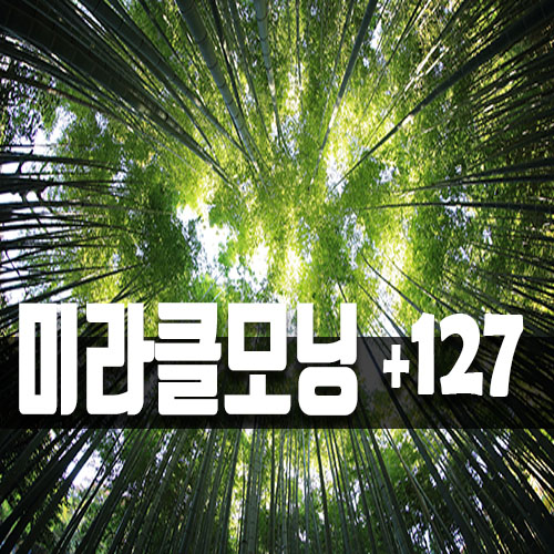  1년 365일 매일 읽는 긍정의 한 줄