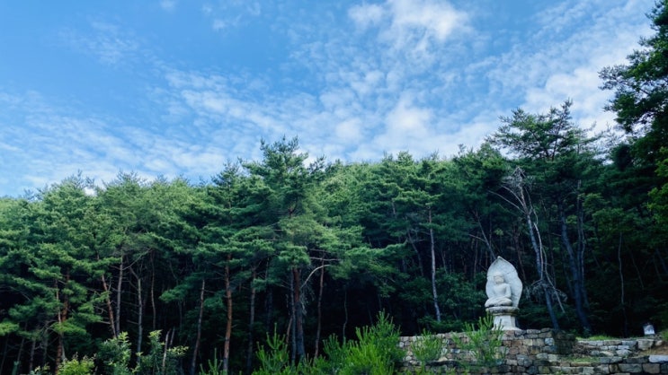   2020 경주남산 불상 탐방 산행 4회 총정리