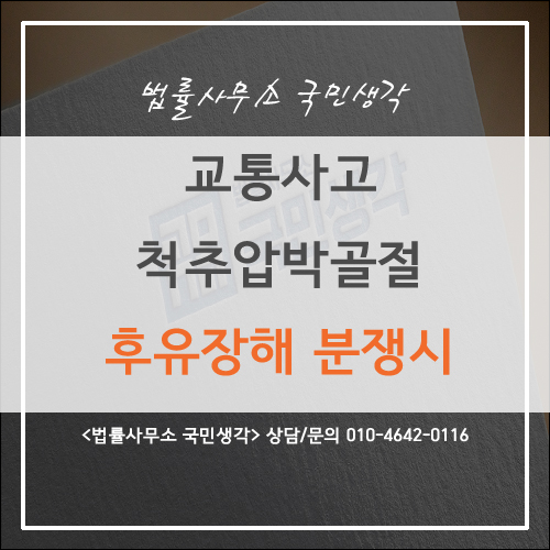 교통사고로 인한 척추압박골절 후유 장해 분쟁 시 - 종합법률사무소 국민생각