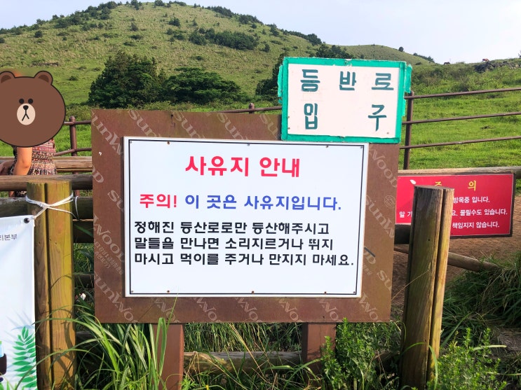 제주 용눈이오름 소요시간 제주 용눈이오름 소요시간