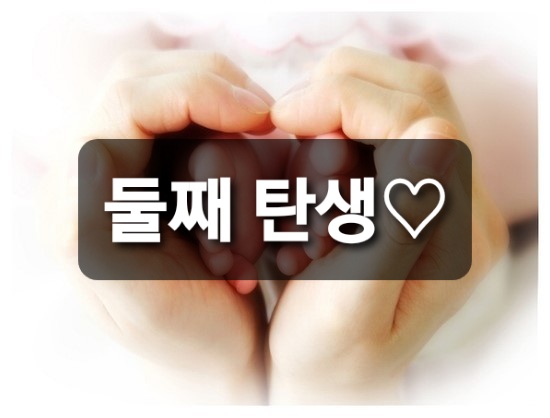  둘째 탄생