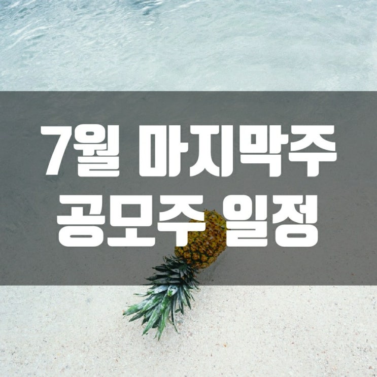  7월 마지막주 공모주 일정