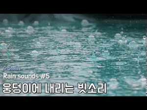 Rain sounds #. 웅덩이에 내리는 빗소리 | 수면, 휴식, 공부, 힐링 | 4.5분 Rain sounds #. 웅덩이에 내리는 빗소리 | 수면, 휴식, 공부, 힐링 | 4.5분