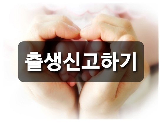  출생신고하기