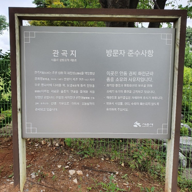  경기도 시흥 연꽃 테마파크 방문해서 찍은 사진들과 후기