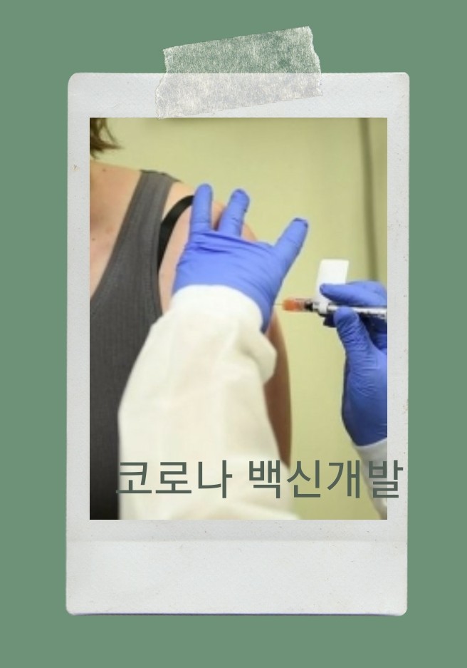  코로나 치료제 및 백신개발