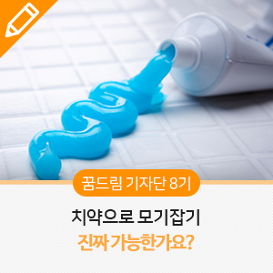 치약으로 모기잡기, 진짜 가능한가요?