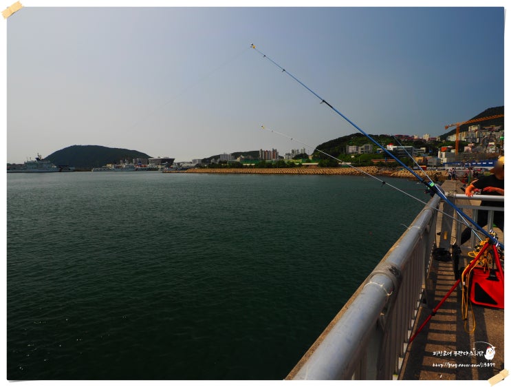  부산 영도 가족 나들이 도보권 캠핑, 바다낚시(미창석유) 영도 신방파제 영도 하수종말처리장(환경사업소) 포인트 탐사