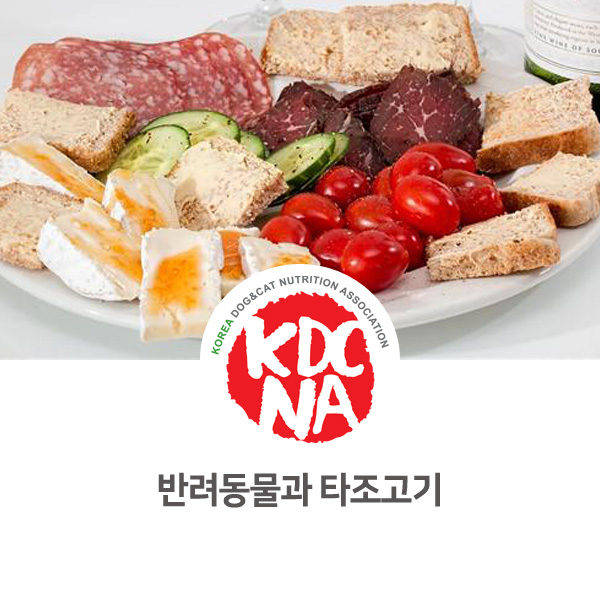  [반려동물 단백질 영양 성분] 강아지 고양이 타조고기에 대해서 알아보자_567