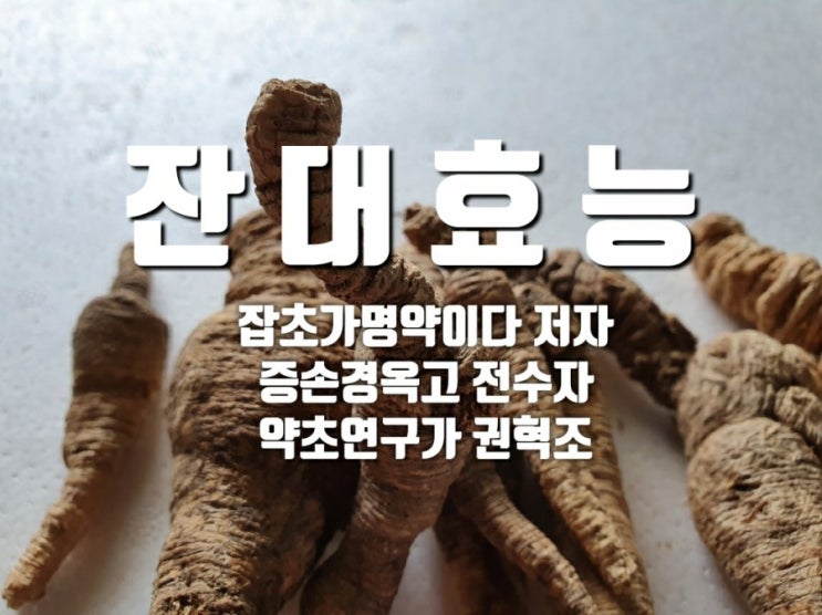  잔대효능