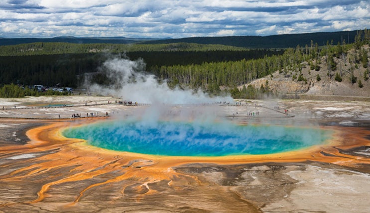  Yellowstone 8-1 | 옐로우스톤-Grand Prismatic Spring
