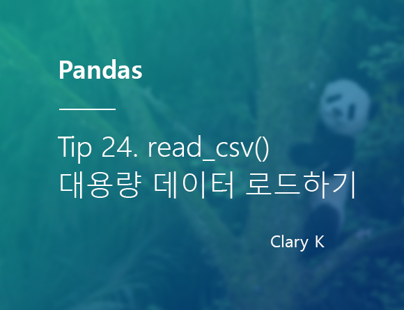 [파이썬] 판다스(pandas) 팁24. 대용량 데이터셋 가볍게 로드하기 : read_csv() / skiprows