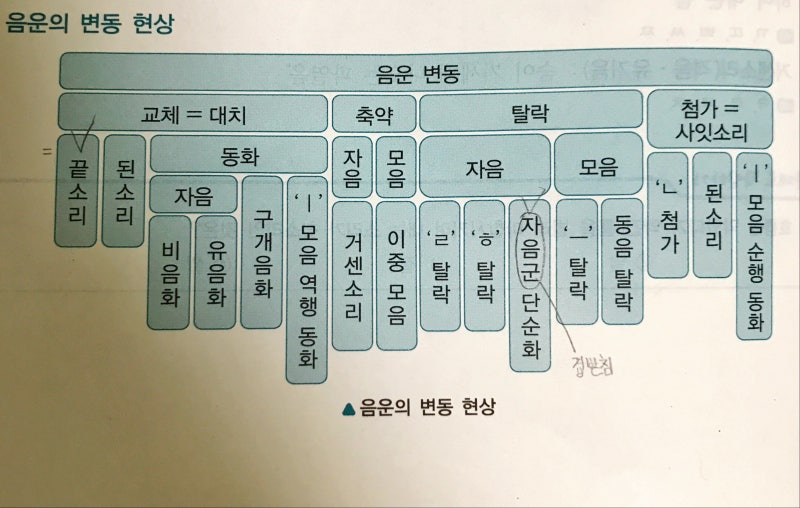 Part1 언어와 국어 - 음운의 변동 : 네이버 블로그