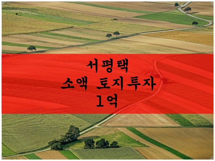  서평택 토지 소액투자. 1억! / 안중역세권, 대안리