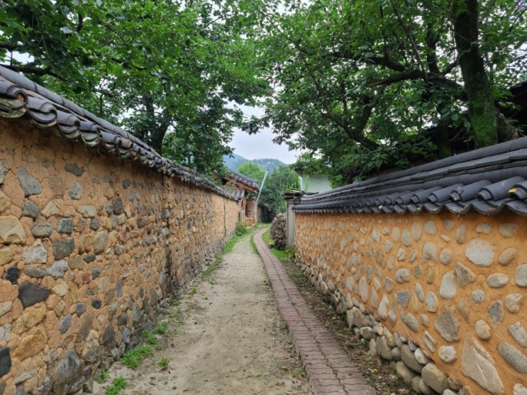  산청 가볼만한곳 아름다운 마을 남사예담촌
