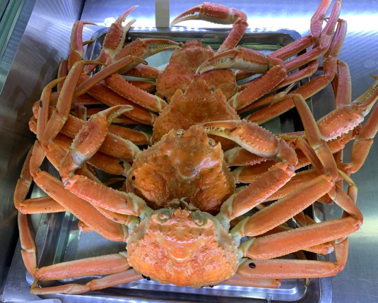  속초중앙시장 대게 맛집! 붉은대게수산 30분 찜시간(먹기좋게 포장되요)