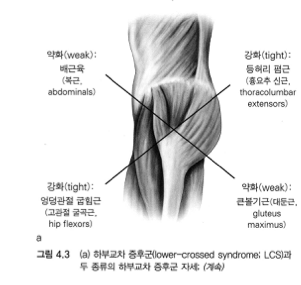  [전공] 아직도 근육만 풀어주니?