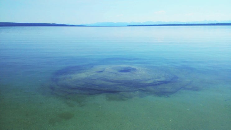  Yellowstone 8-3 | 옐로우스톤Lake-West Thumb & Sand Point