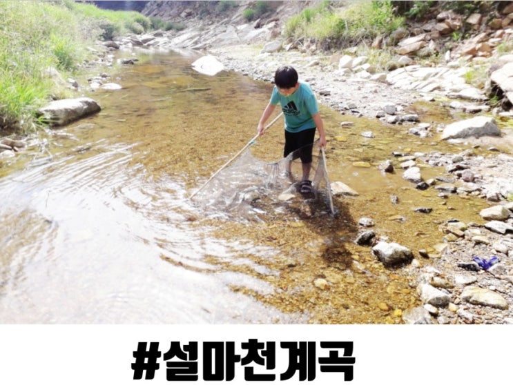 서울근교 파주 계곡 감악산 설마천에서 물고기 잡기~