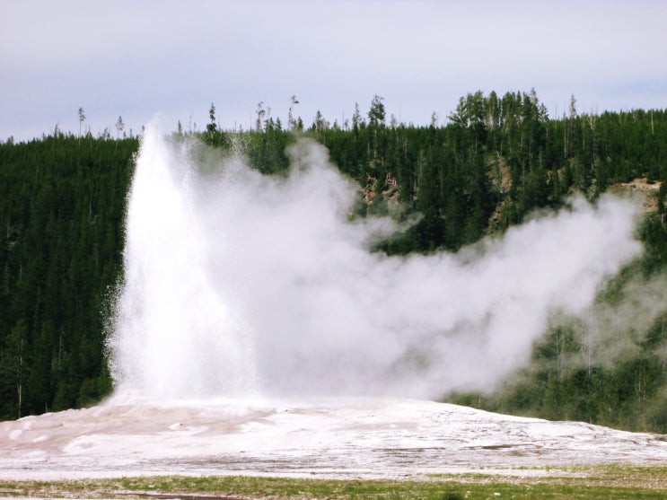  Yellowstone 8-7&8 | 옐로우스톤-Emerald Spring & Steam Boat