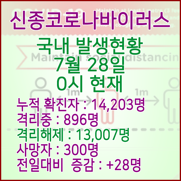  코로나19(코로나바이러스) 7월 28일 0시 국내(해외포함) 발병 14,203명 / 13,007명 완치 격리해제 / 사망자 300명