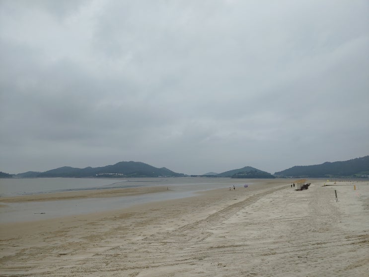 신안군 슬로시티 증도 가볼만한 곳~ 드넓은 모래해변 짱뚱어해수욕장, 사진찍기 좋은 짱뚱어 다리! | 알쓸리뷰X신안여행