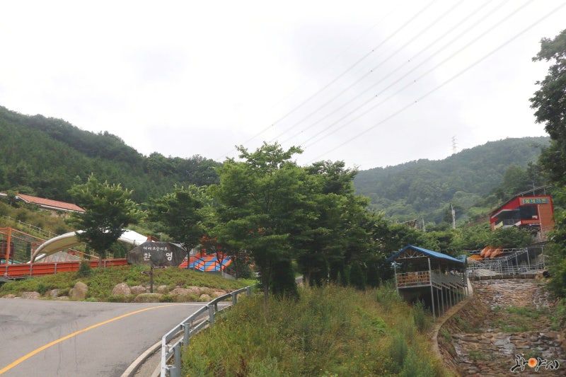 사진 2